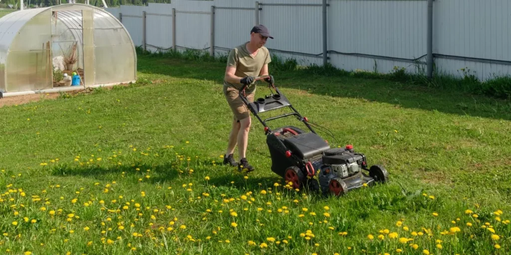 What Are the Most Common Mistakes in Lawn Care? What Are the Most Common Mistakes in Lawn Care?