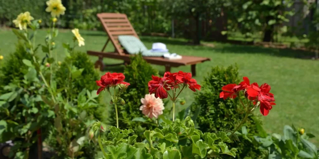 What Are Some Easy Garden Design Tips for Beginners?